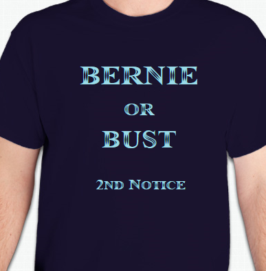 Bernie Or Bust T-Shirt