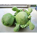 Big Eyes Turtle / SOLD OUT