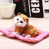 Mini Kitty with Sound / SOLD OUT